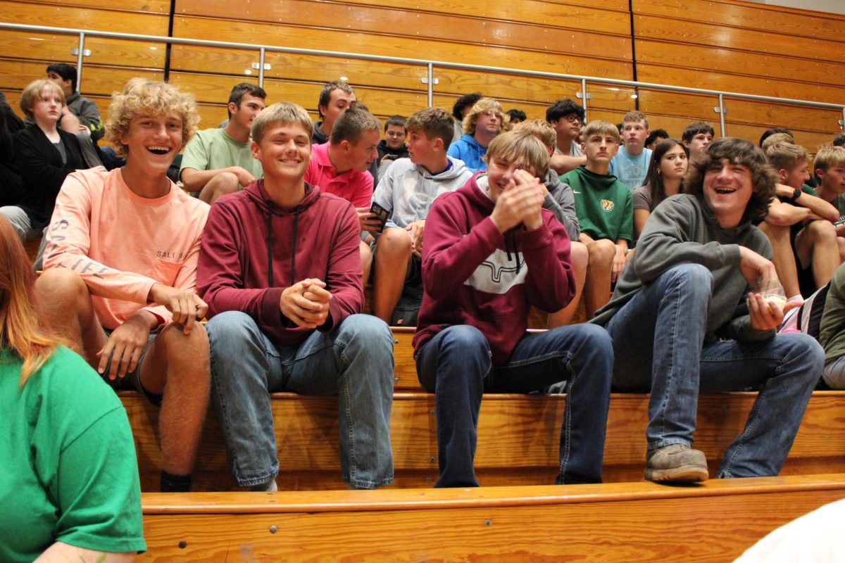 Faces in the crowd