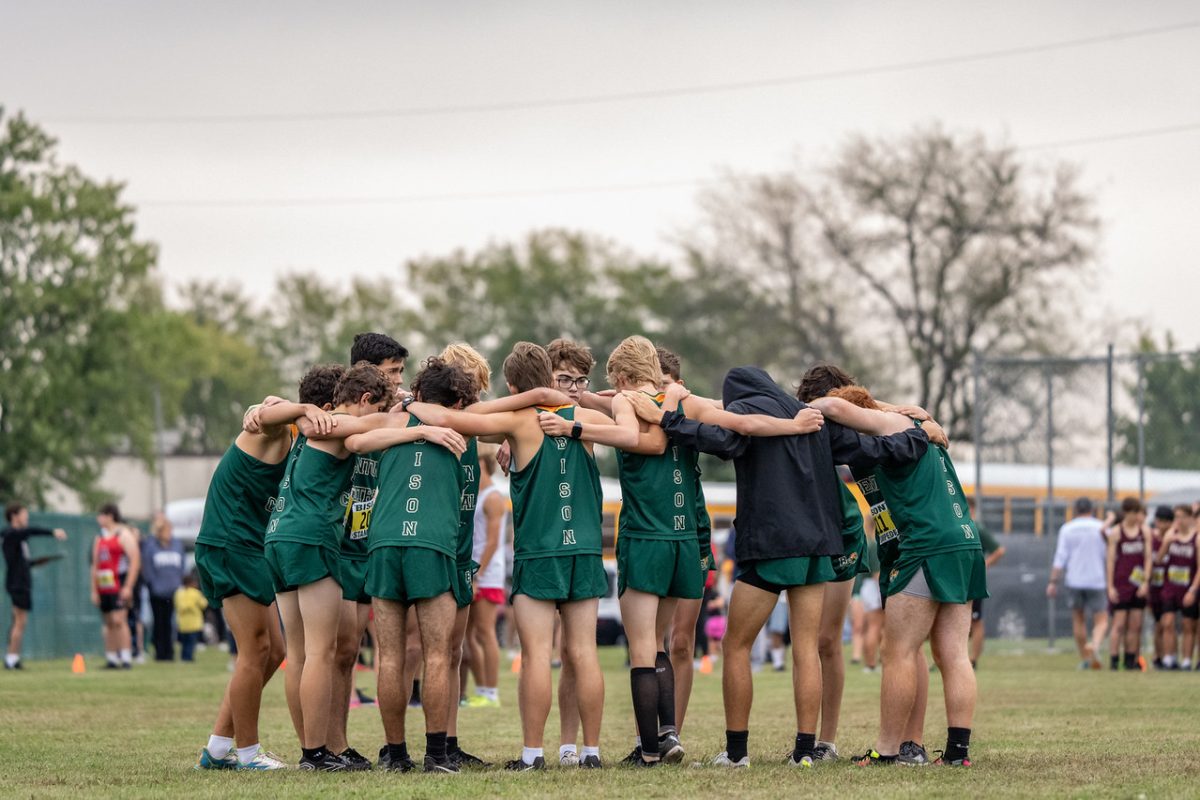 The Bison Stampede