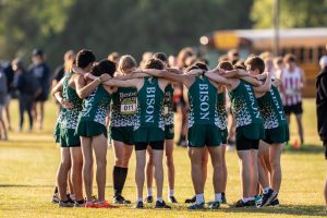 Cross Country Bison Stampede